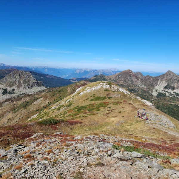Wide valleys with green fields in summer