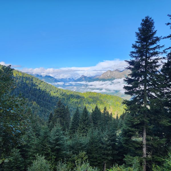 Group trekking in the mountains with a local guide