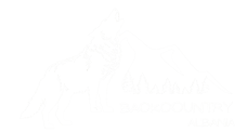 Backcountry Albania logo white